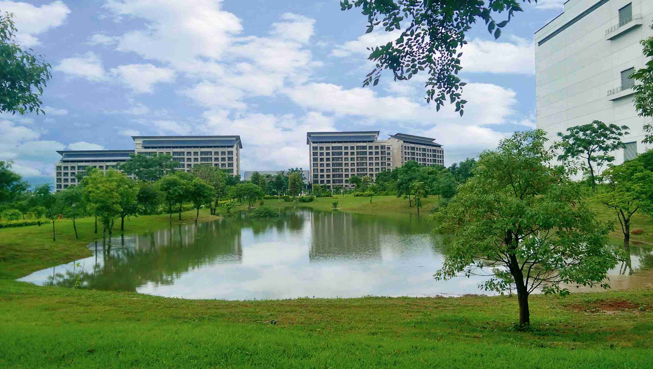 口袋牛店响应国际倡议生物多样性趋势，，，首次发布TNFD自然相关财务揭露报告书，，擘划及开展口袋牛店生物多样性政策之承诺，，，，逐步迈向与自然和谐共生